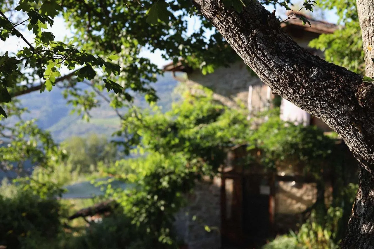 Alloggio per agriturismo Agriturismo Villa Toscanna Borselli